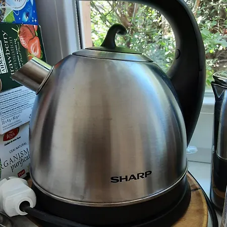 Cosy With Terrace Braşov