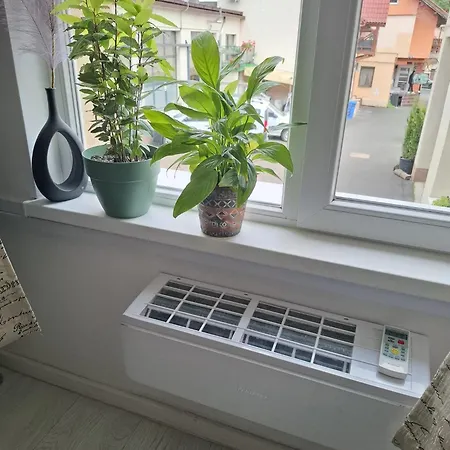 Centrul Vechi Privatunterkunft *