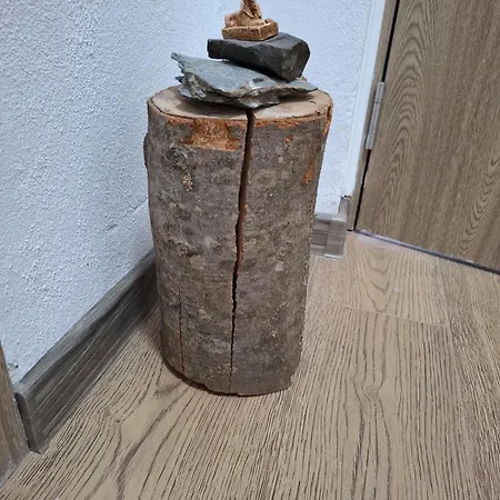 Centrul Vechi Privatunterkunft Brașov