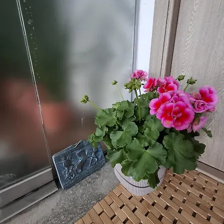 Centrul Vechi Privatunterkunft *