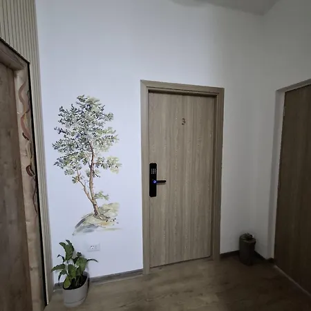 Centrul Vechi Privatunterkunft Brașov