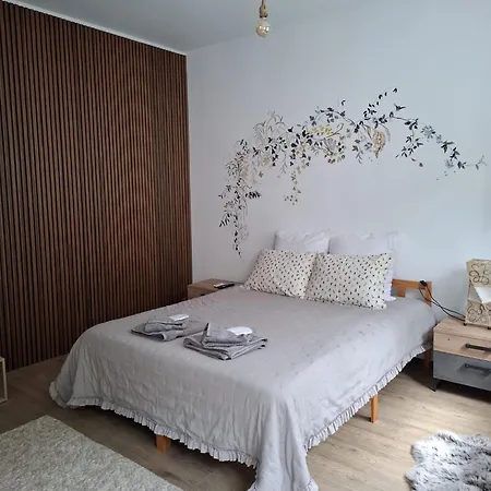 Privatunterkunft Centrul Vechi Brașov
