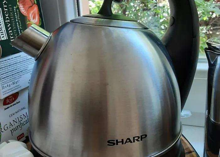 Cosy With Terrace Brașov