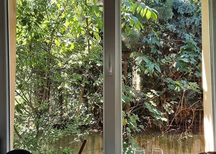 Cosy With Terrace Brașov